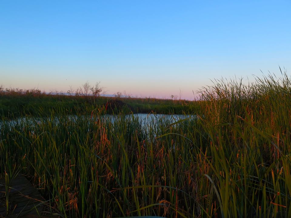 somewhere in the heartland of the former Métis territories