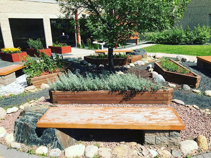 The beautiful Medicine Gardens at Health Sciences Centre in Winnipeg. One character in our show is an Ojibwe medicine woman who uses the four sacred plants- sage, sweet grass, cedar and tobacco- to save a life. Many thanks to Debra Beach-Ducharme for her assistance and wisdom.